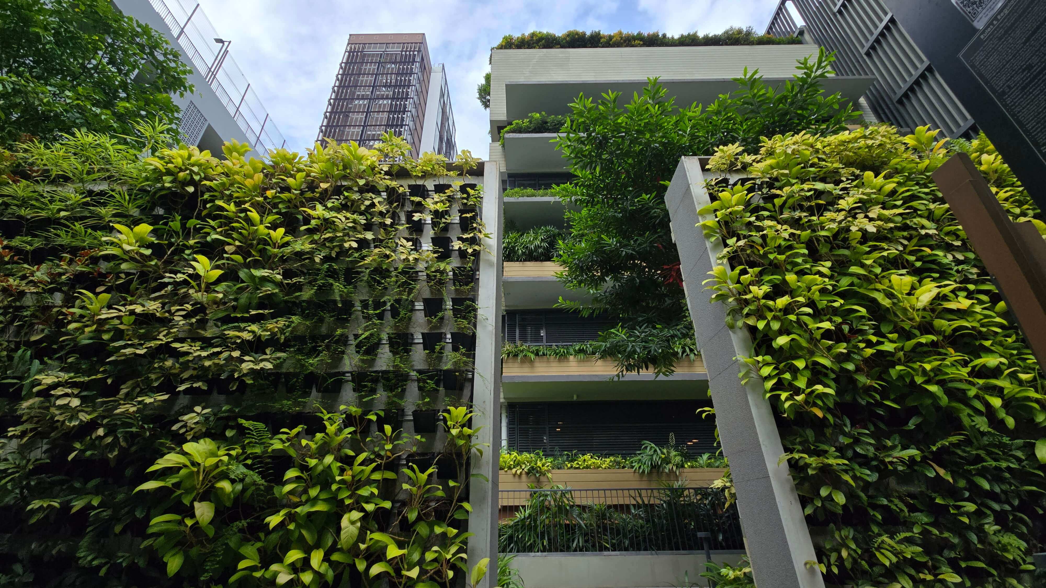 Landscape Maintenance