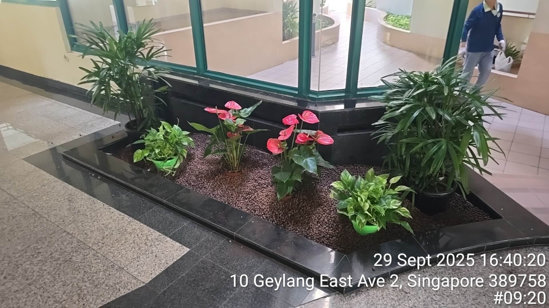 Plant Display Installation