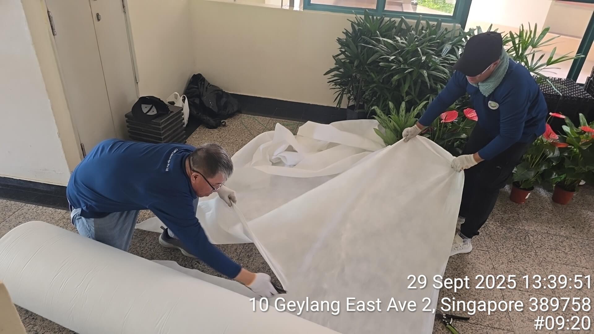 Plant Display Installation thumbnail 2