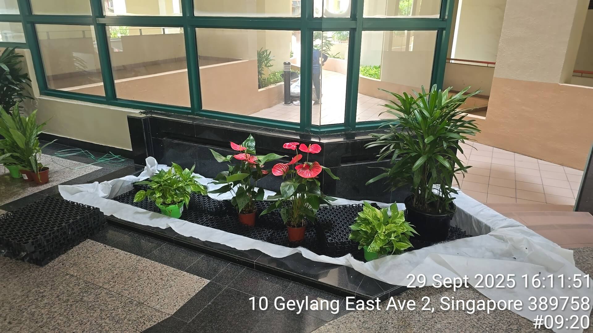 Plant Display Installation thumbnail 3